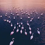 Hébergement de vacances Casa *